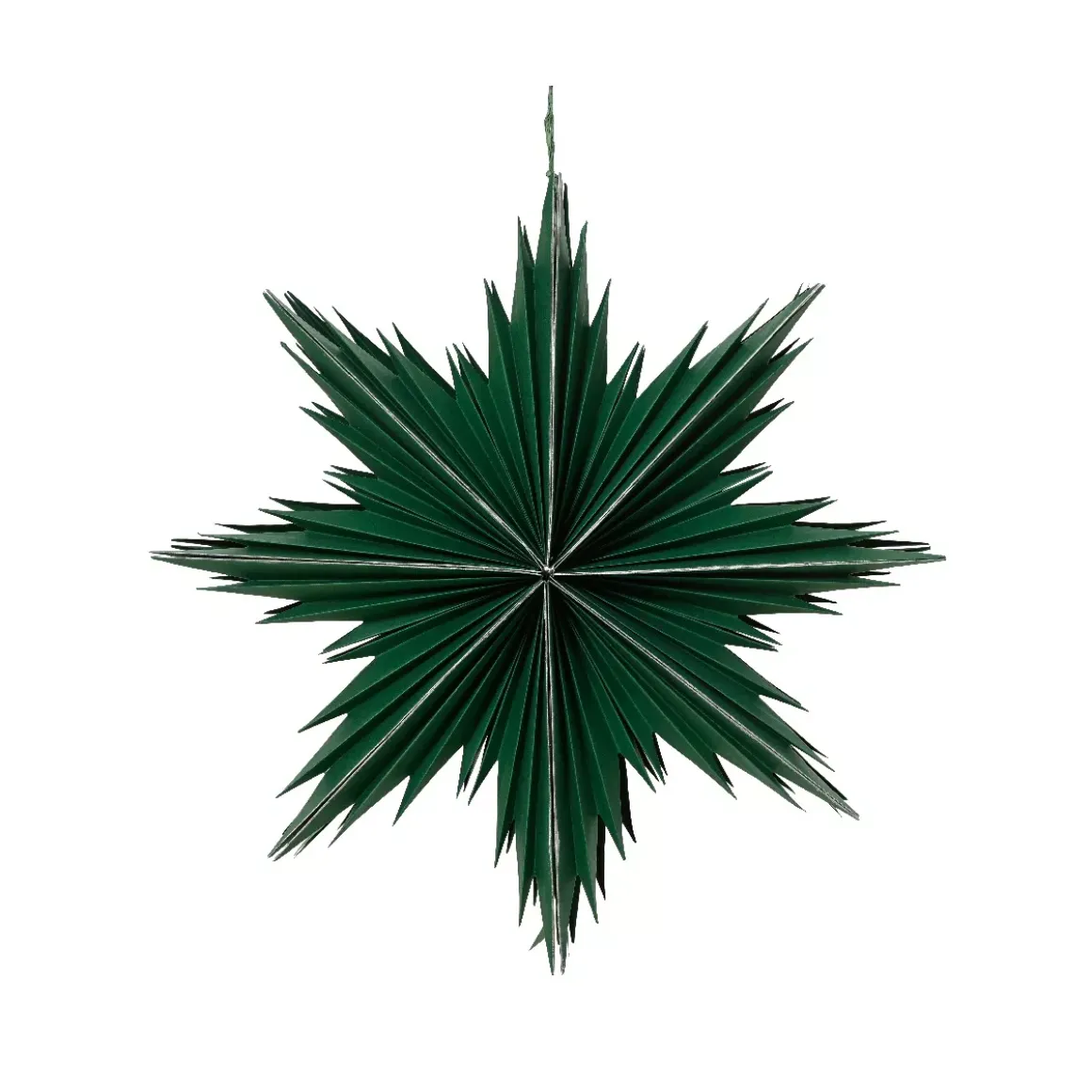 Addobbi natalizi sospesi in carta (D30 cm) Stella ghiacciata Verde rosmarino