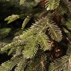 Albero di Natale artificiale Sierra Alt. 120 cm Verde abete