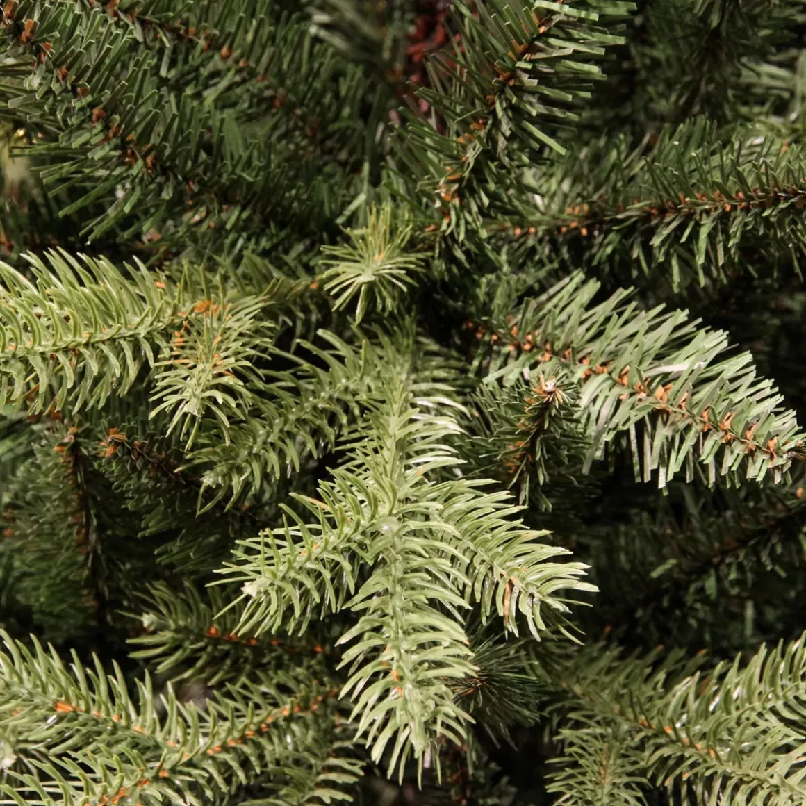 Albero di Natale artificiale Allix Alt. 180 cm Verde abete