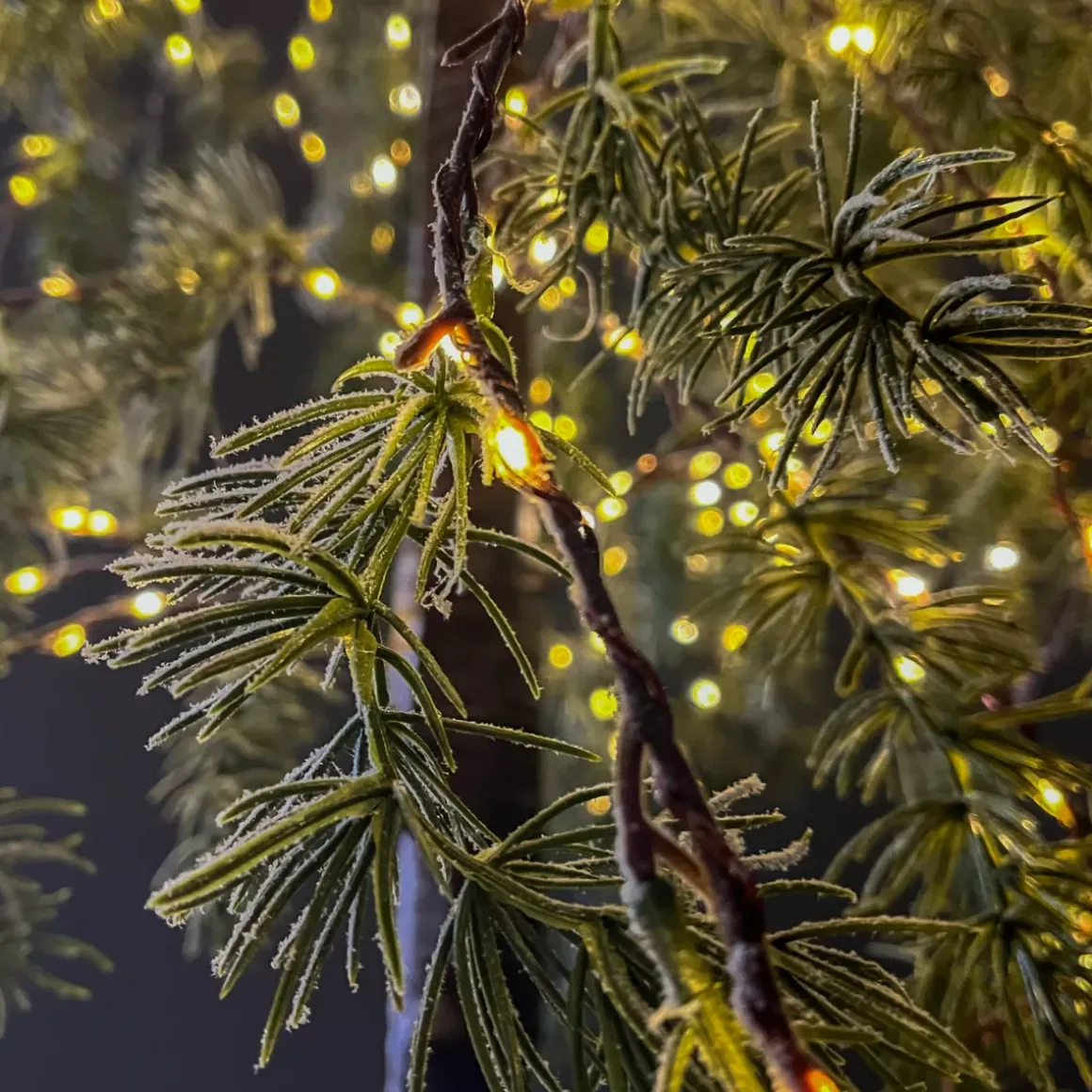 Albero luminoso 600 LED (H180 cm) Betulla innevata Bianco caldo