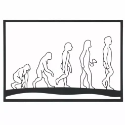 Decorazione murale in metallo (70 x Alt 50 cm) Evolution Nero