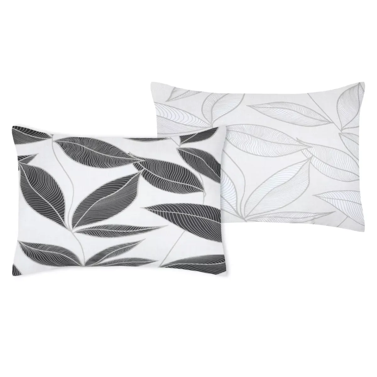 Hot Federa cuscino letto rettangolare percalle di cotone (50 x 70 cm) Matisse Federe Cuscino Letto