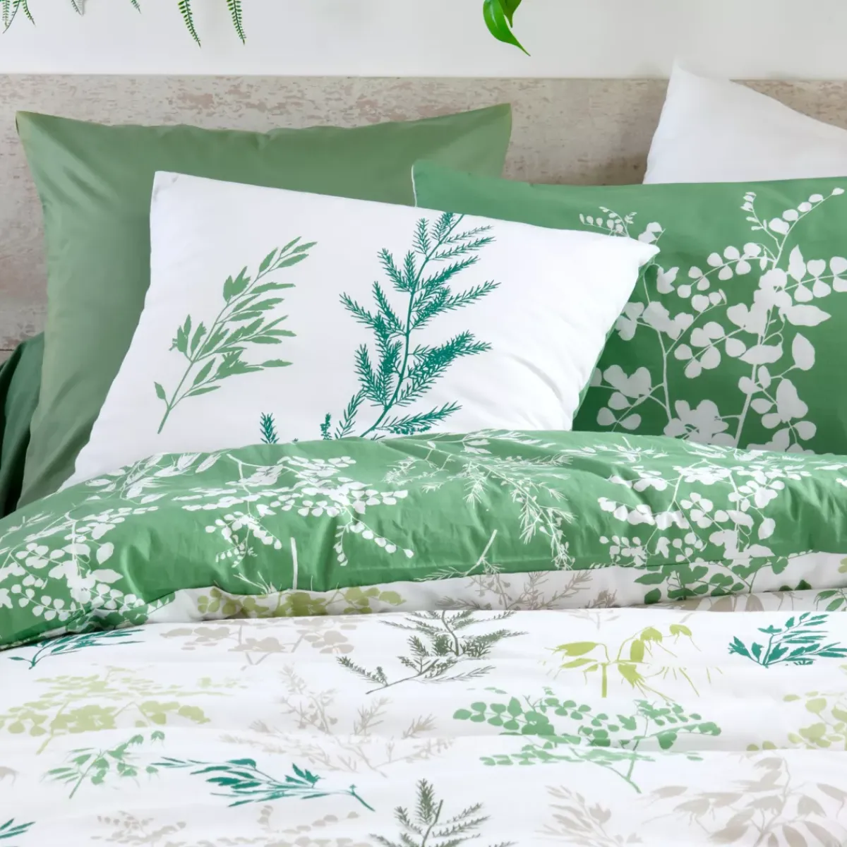Outlet Federa quadrata in percalle (63 x 63 cm) Sylvana Federe Cuscino Letto
