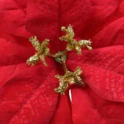 Fiore di Natale Giana a clips Rosso