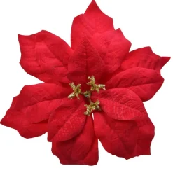 Fiore di Natale Giana a clips Rosso