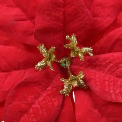 Fiore di Natale Noelie a clips Rosso