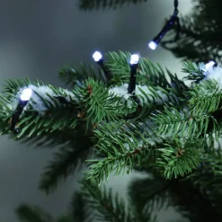Ghirlanda luminosa Durawise 1,70 m Bianco freddo 24 LED CN