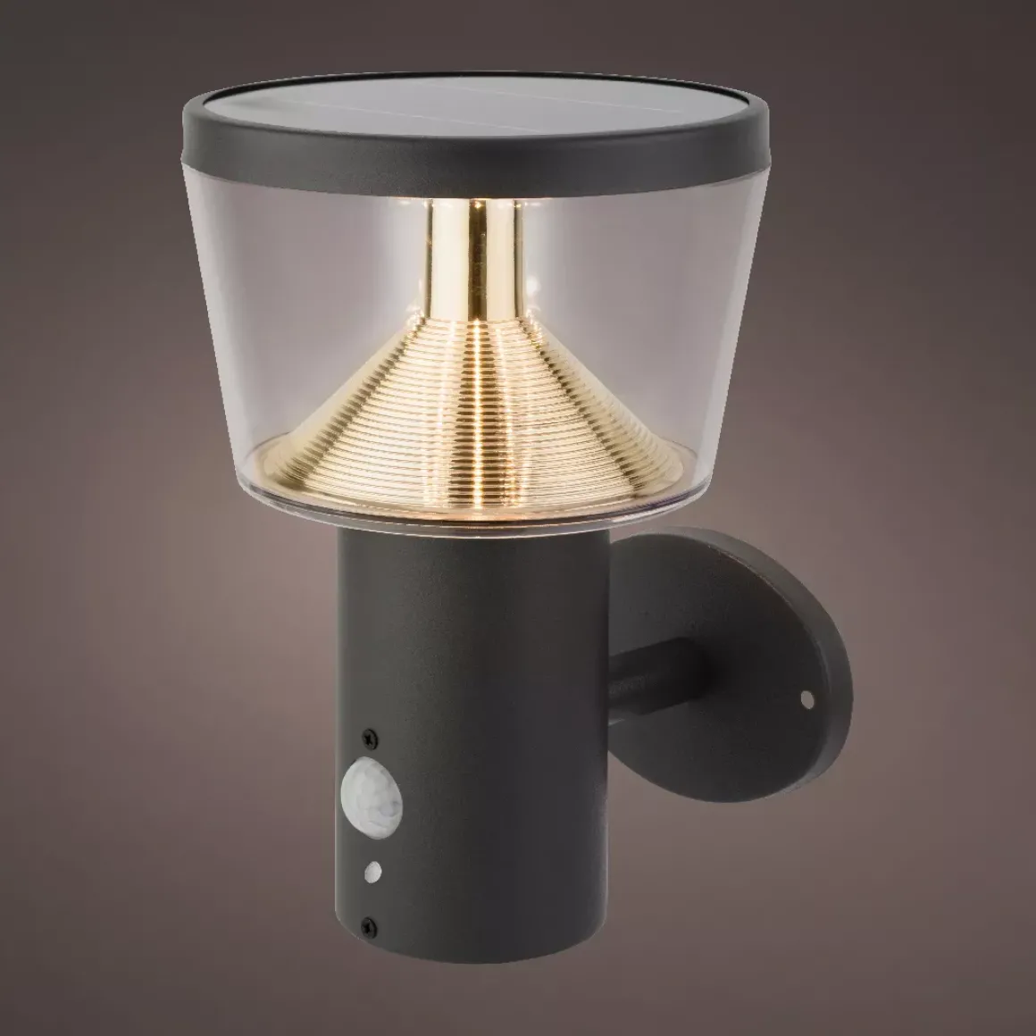 Paletto solare da giardino da parete 40 LED 600 lumen (H23 cm) Orion Grigio antracite