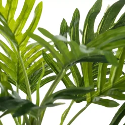 Palma in vaso Etnik Verde