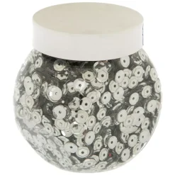 Set di 100 g di lustrini Argento